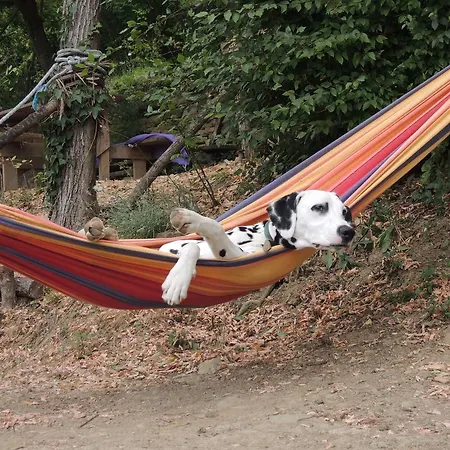 Adrenaline Check Kaki Event Place