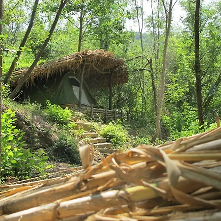 Adrenaline Check Kaki Event Place *