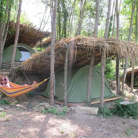 Adrenaline Check Kaki Event Place Camping