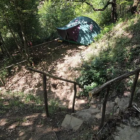 Camping Adrenaline Check Kaki Event Place Portorož