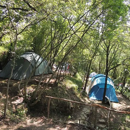 Adrenaline Check Kaki Event Place *