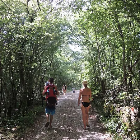 مكان تخييم Adrenaline Check Kaki Event Place بورتوروز