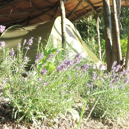 Campingplatz Adrenaline Check Kaki Event Place