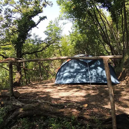 Camping Adrenaline Check Kaki Event Place *