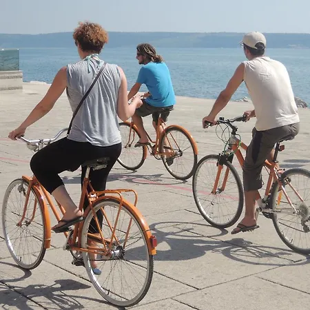 Adrenaline Check Kaki Event Place *