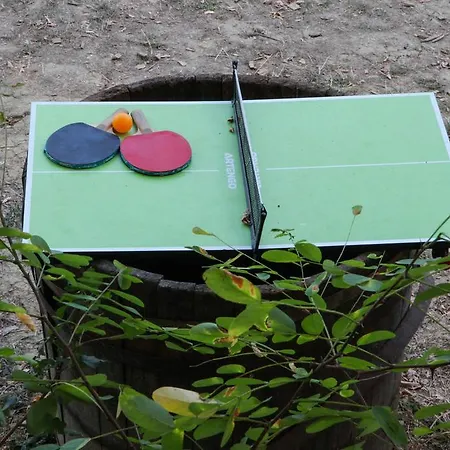 Adrenaline Check Kaki Event Place Camping Portorož