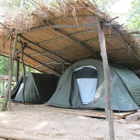 Adrenaline Check Kaki Event Place بورتوروز