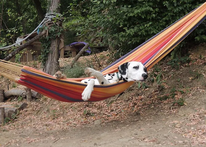 Adrenaline Check Kaki Event Place