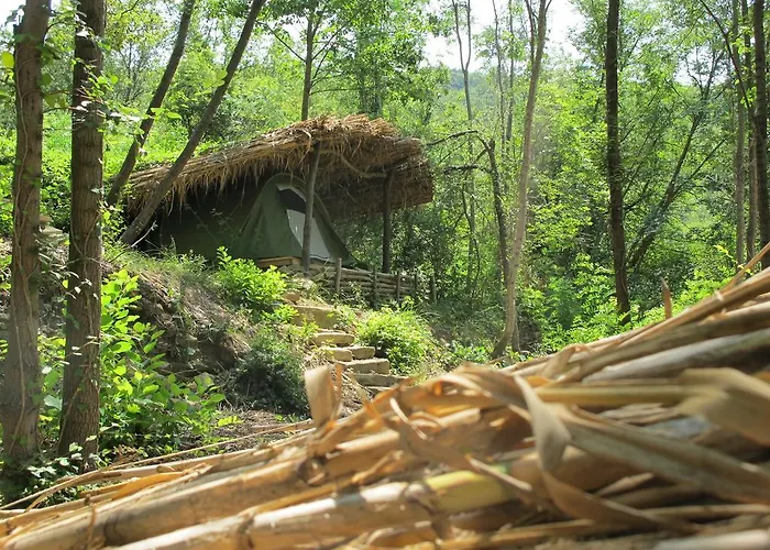 Adrenaline Check Kaki Event Place *