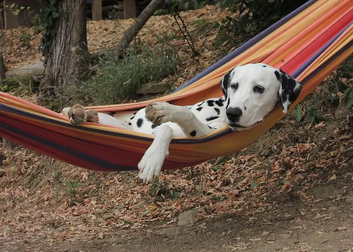 Adrenaline Check Kaki Event Place キャンプ場