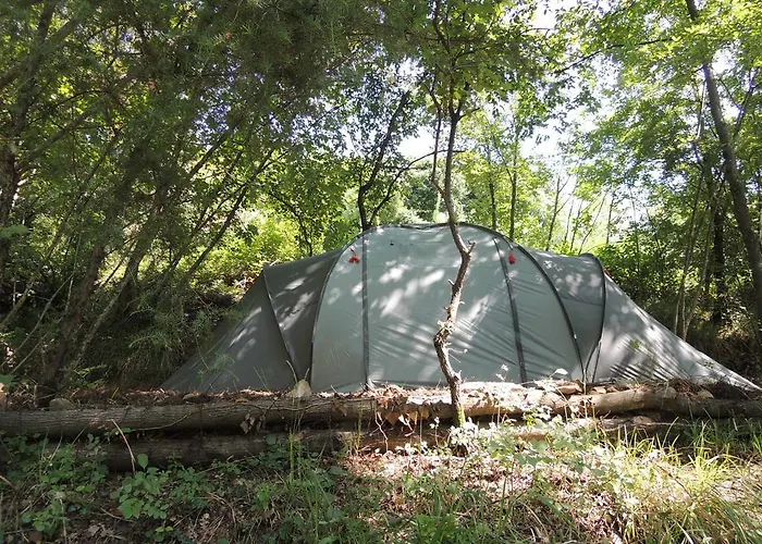 Adrenaline Check Kaki Event Place キャンプ場 ポルトローシュ