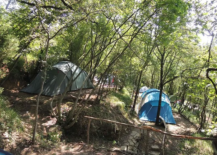 Adrenaline Check Kaki Event Place *