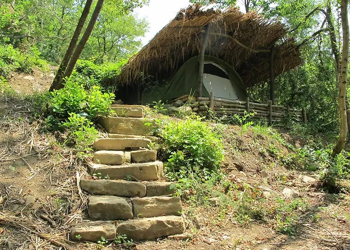 Adrenaline Check Kaki Event Place * ポルトローシュ