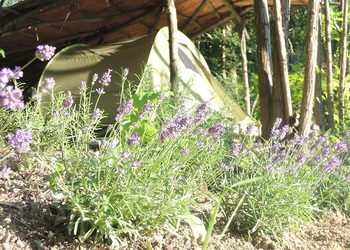 キャンプ場 Adrenaline Check Kaki Event Place