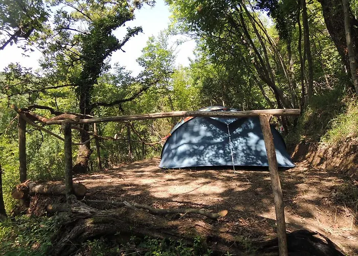 キャンプ場 Adrenaline Check Kaki Event Place *