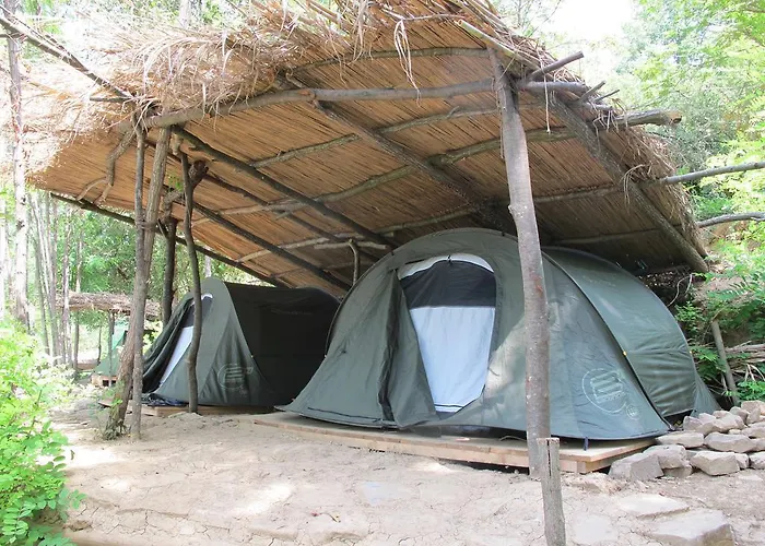 Adrenaline Check Kaki Event Place ポルトローシュ